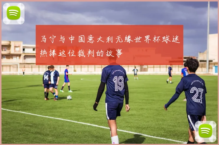 马宁与中国意大利无缘世界杯球迷热捧这位裁判的故事