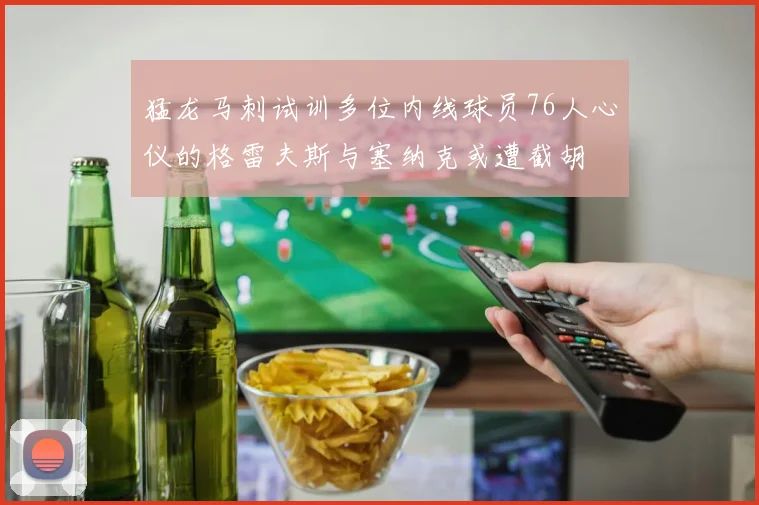 猛龙马刺试训多位内线球员76人心仪的格雷夫斯与塞纳克或遭截胡